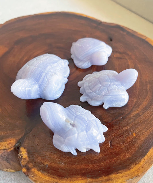 Sea Turtle Carvings / Blue Lace Agate w/Druzy ($15ea or whole 4-set $50