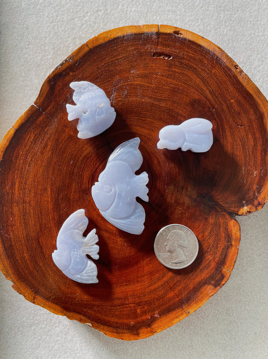 Rare Find! Lace Blue Agate Animal Carving 4pc Set - 3x Angelfish + Bunny / Exclusive Rare Find Angelfish with Druzy / Blk Swn Krystalz ($100)