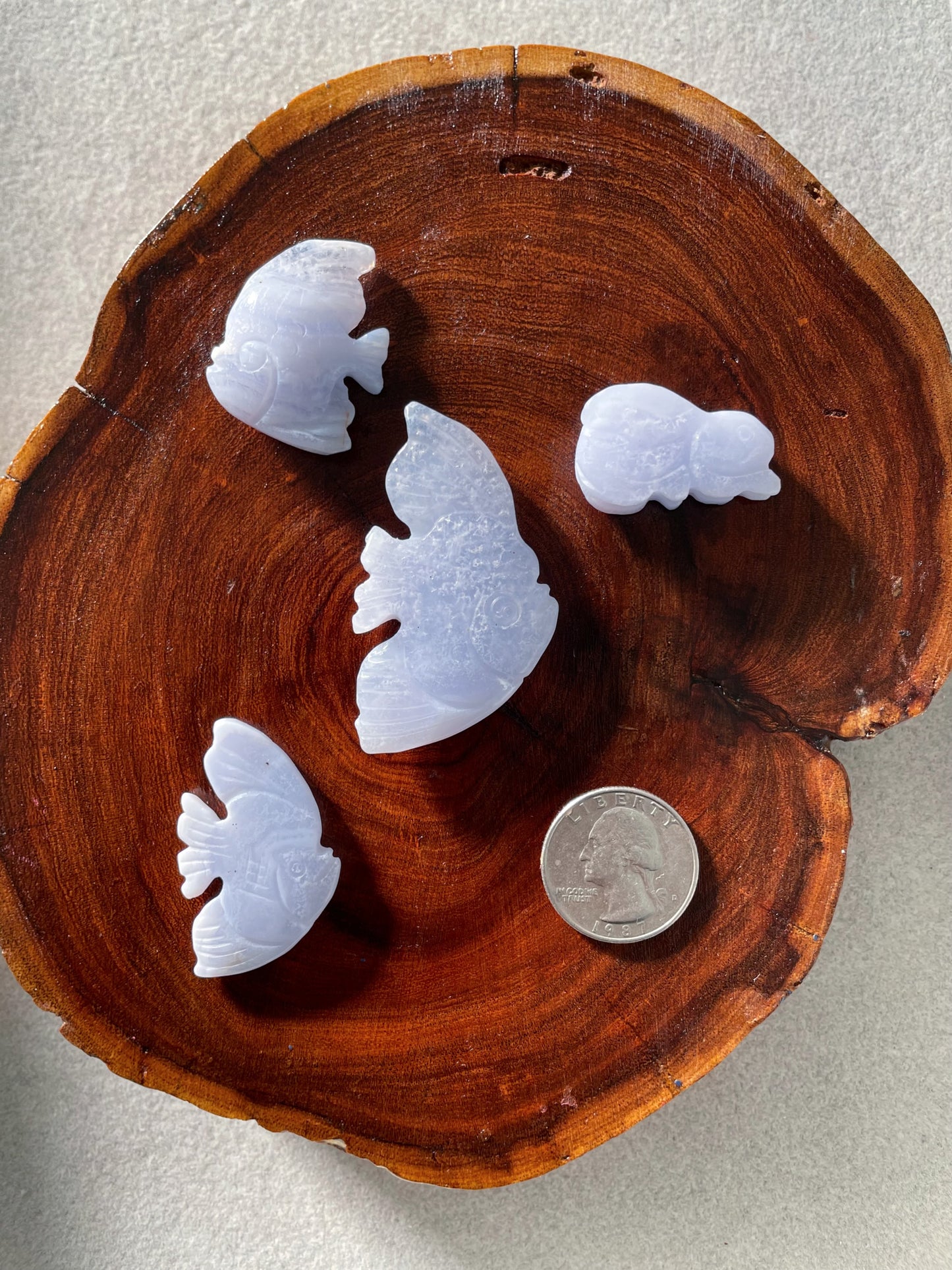 Rare Find! Lace Blue Agate Animal Carving 4pc Set - 3x Angelfish + Bunny / Exclusive Rare Find Angelfish with Druzy / Blk Swn Krystalz ($100)